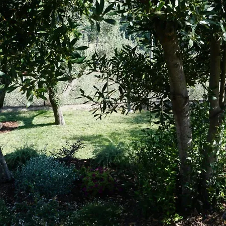 Scappo In Umbria, La Casa Di Giuliana Apartamento *