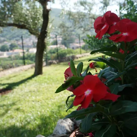 Apartment Scappo In Umbria, La Casa Di Giuliana *